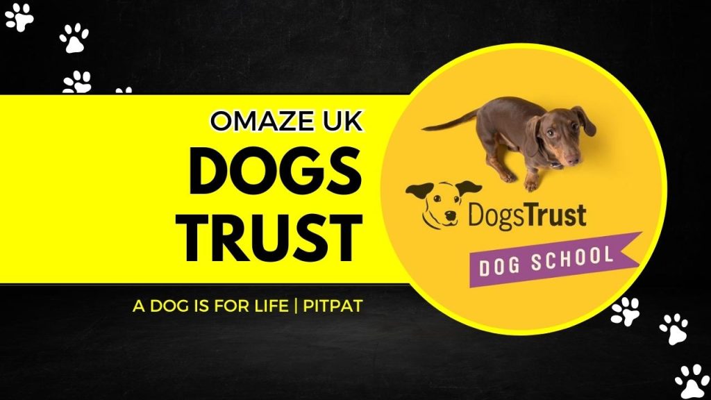 omaze uk dogs trust