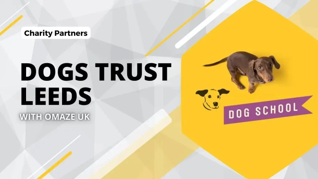 Dogs Trust Leeds and Omaze UK Decoding An Important Charity Partnership